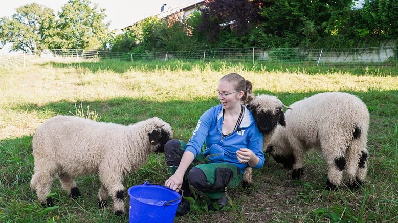 Landwirtinnen am Anschlag - Bauernberuf in Zeiten des Hofsterbens