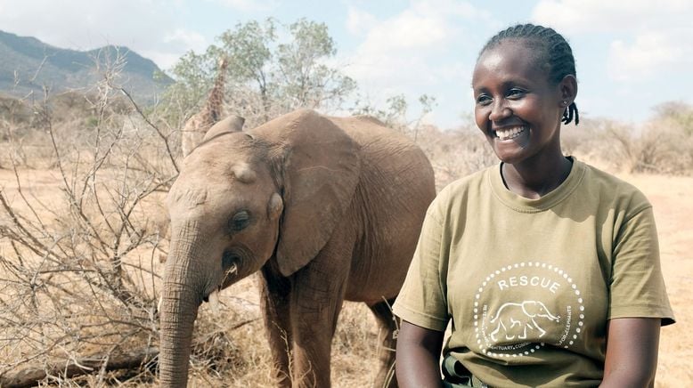 Kenia - Land der Kontraste