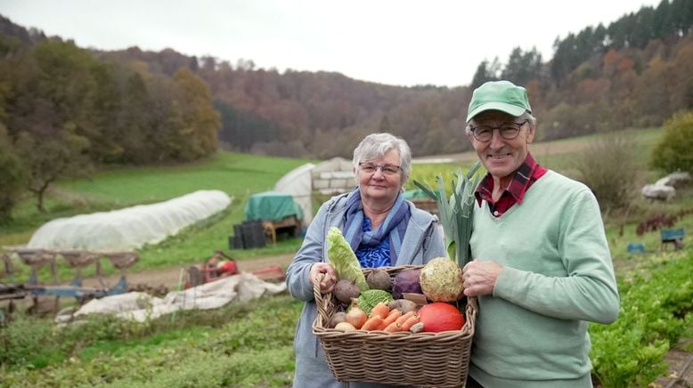 Geschichten vom Hof