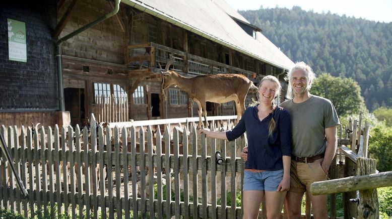 Geschichten vom Hof