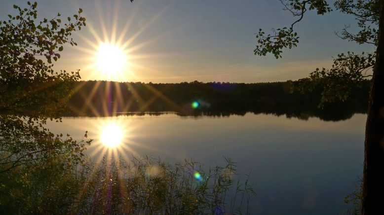 Mecklenburgs geheime Wasserwildnis - Die Feldberger Seen