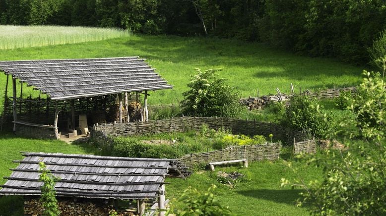 Minze, Mangold, alte Mauern - Gartenlust in Niederösterreich