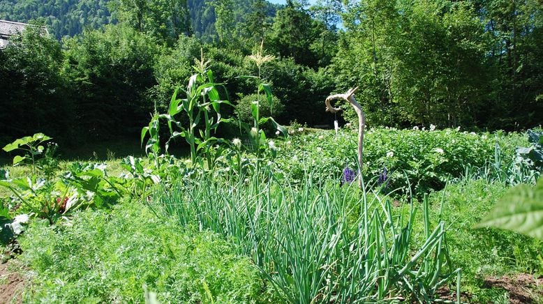 Grünes Glück - Gartenkultur in Vorarlberg