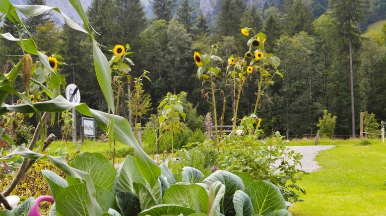 Grünes Glück - Gartenkultur in Vorarlberg