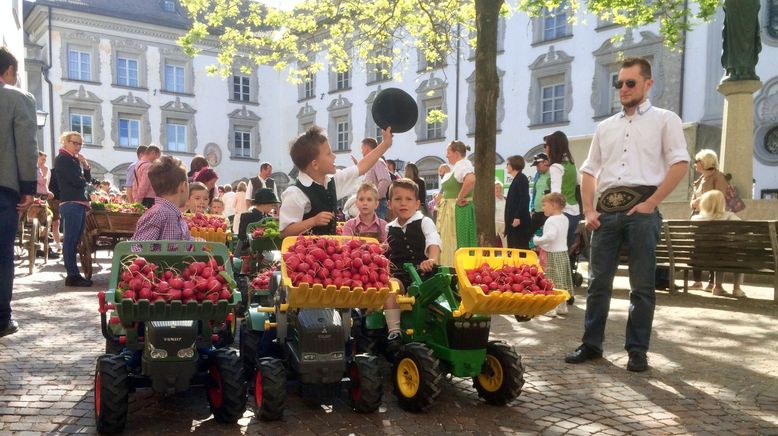 Radieschenfest in Hall