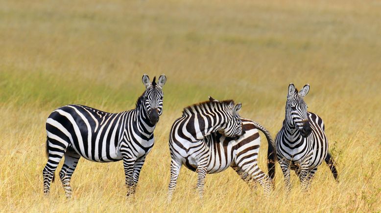 Jenseits von Safari - Unterwegs in Kenias Norden