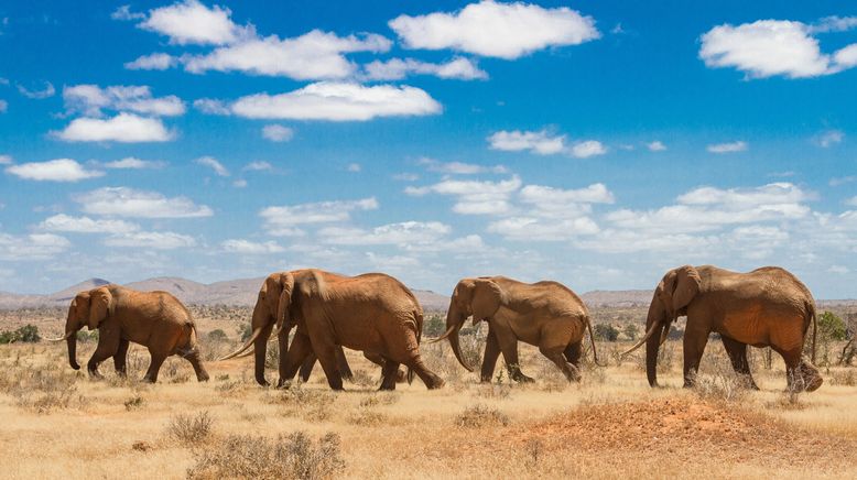 Jenseits von Safari - Unterwegs in Kenias Norden