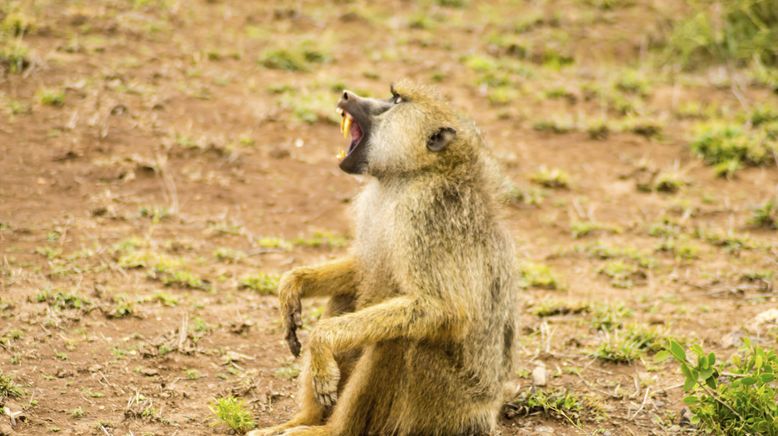 Jenseits von Safari - Unterwegs in Kenias Norden