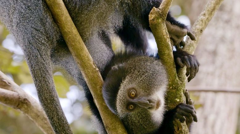 Jenseits von Safari - Unterwegs in Kenias Norden