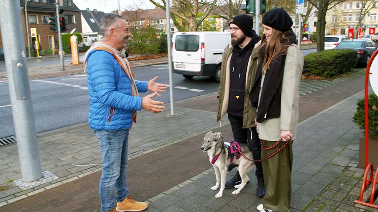 Dem Hund draußen Sicherheit geben und Grenzen setzen