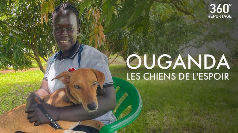 Uganda: Hunde der Hoffnung