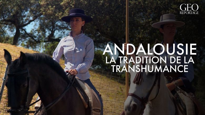 Andalusien - Edle Pferde, wilde Stiere