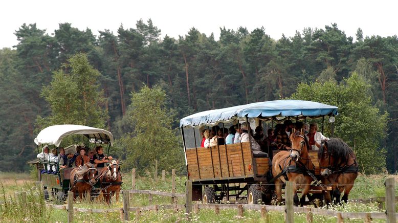 30 Ausflüge in Brandenburgs Tierwelt