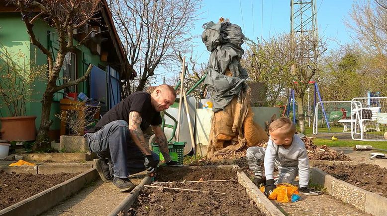 Von Hecke zu Hecke - Bunte Beetgeschichten