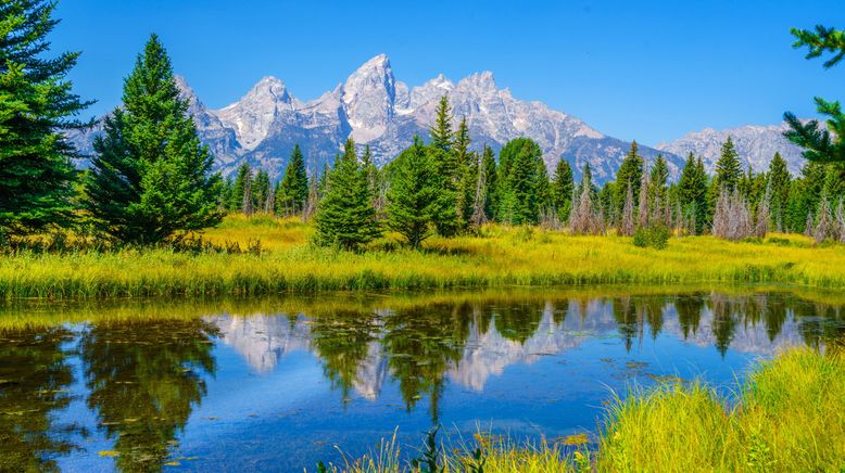 Yellowstone Nationalpark