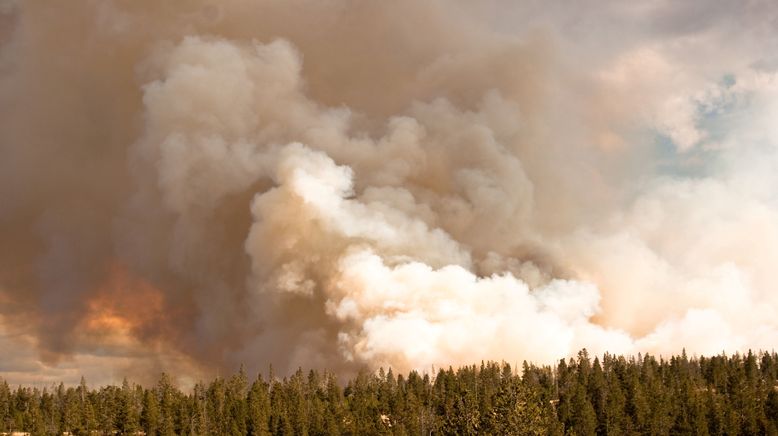 Yellowstone Nationalpark