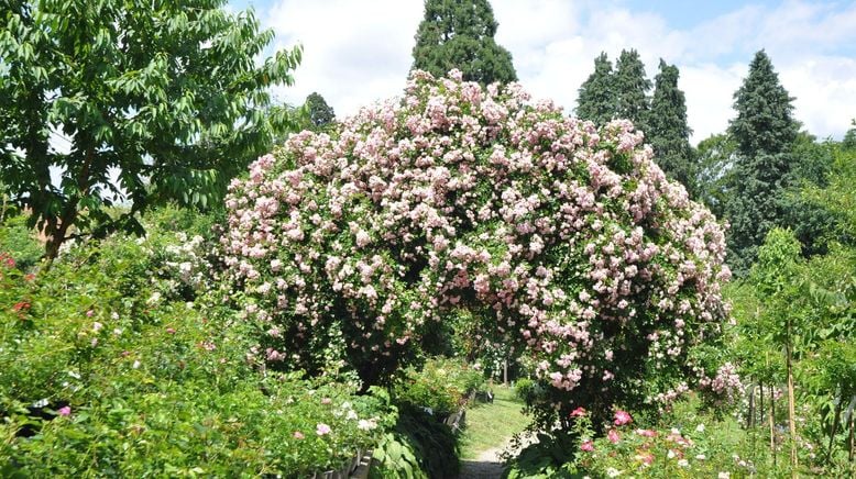 My home is my garden. Steirische Gartenparadiese