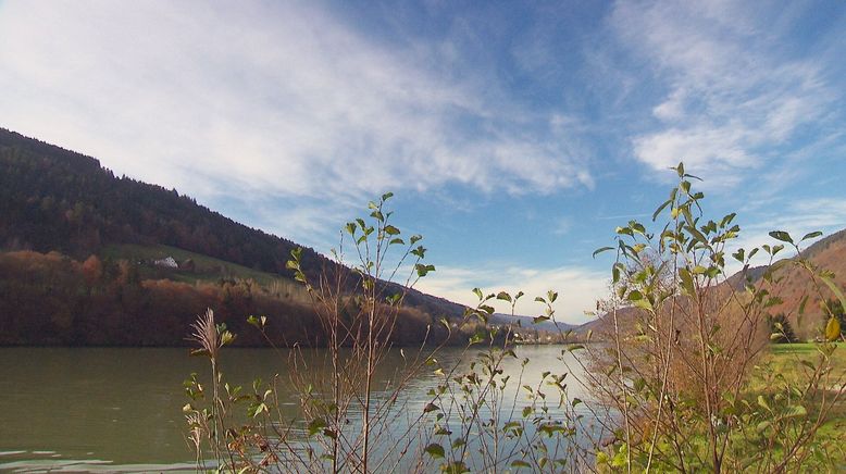 Abenteuer in der Wildnis - Naturschauspiele im Donauraum