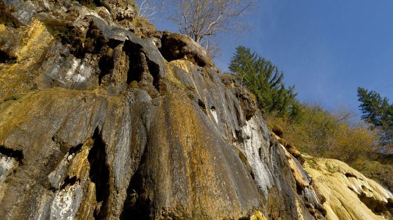 Von der Roten Wand in den Bregenzerwald