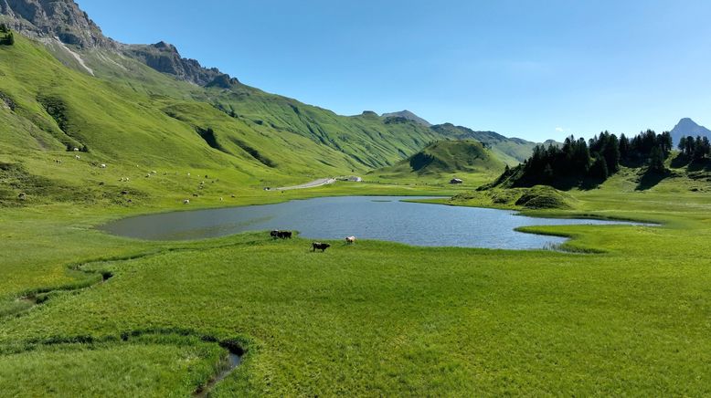 Von der Roten Wand in den Bregenzerwald