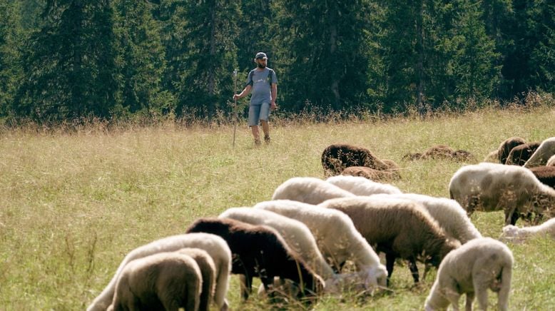 Wilde Wasser und weite Wege in den Schladminger Tauern