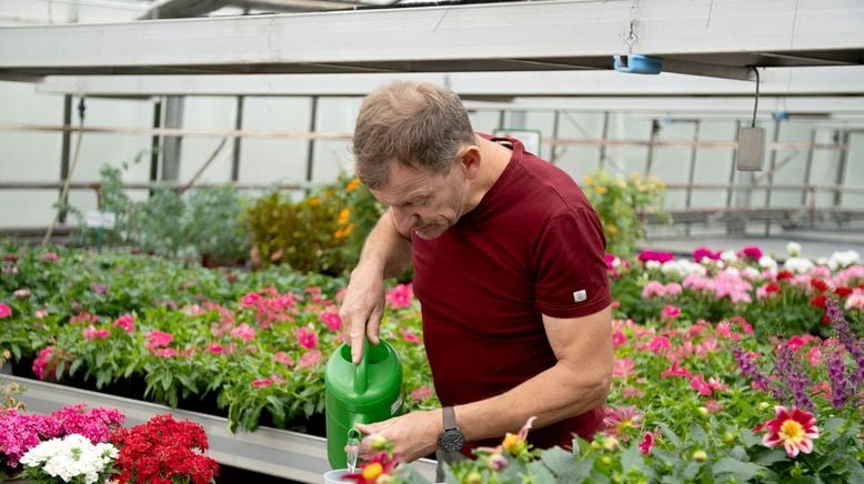 Garten-Hacks mit Hannes Käfer