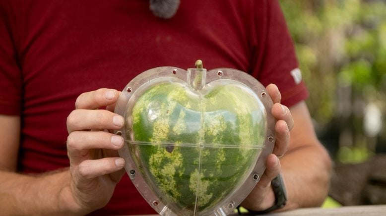 Garten-Hacks mit Hannes Käfer