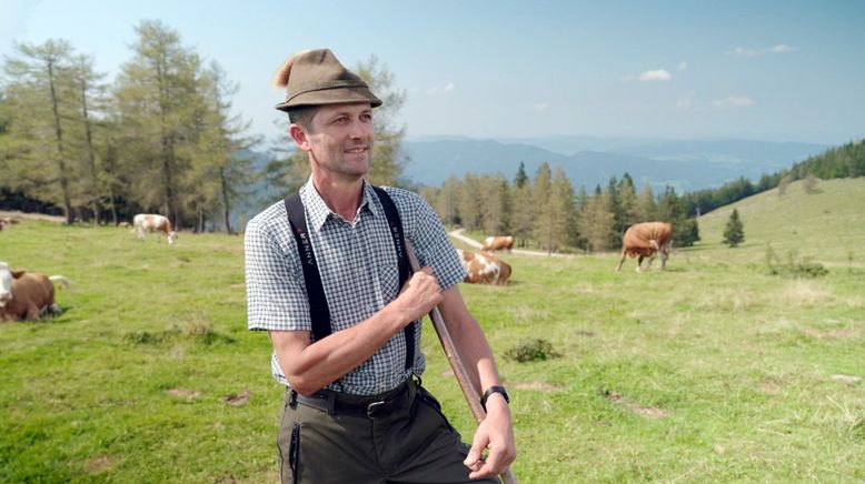 Die schönsten Almen in Oberösterreich