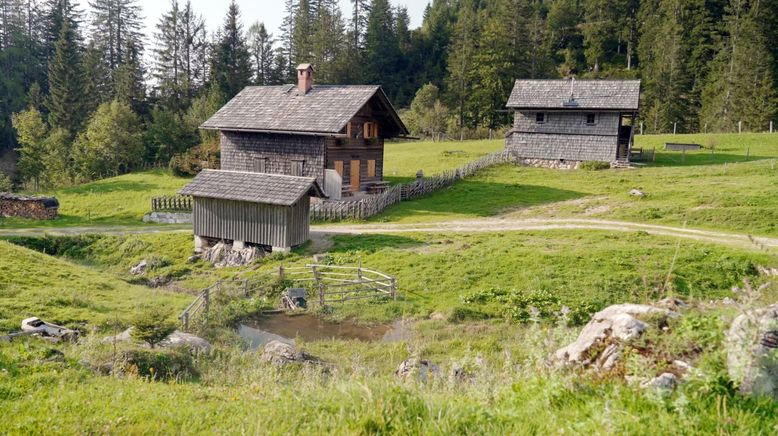 Die schönsten Almen in Oberösterreich