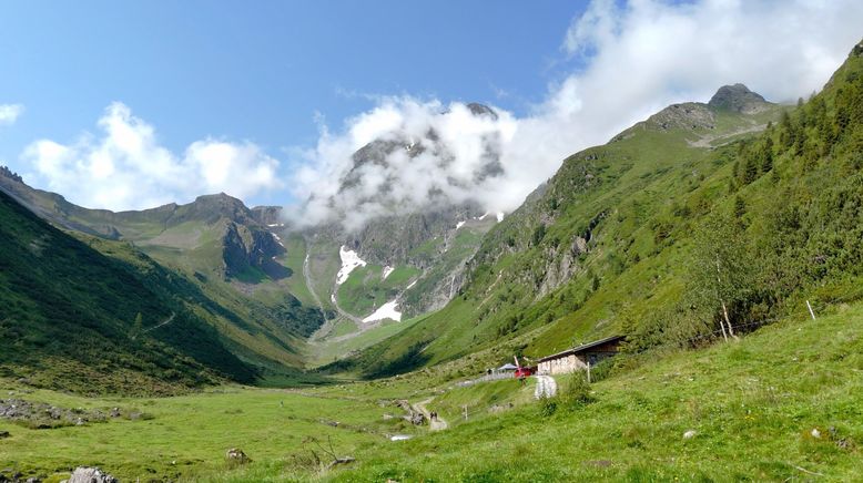 Die schönsten Almen in Tirol