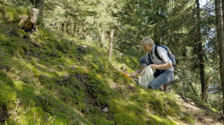 Almgeschichten aus Tirol