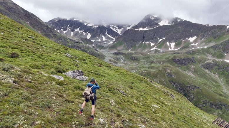 Die schönsten Almen in Tirol