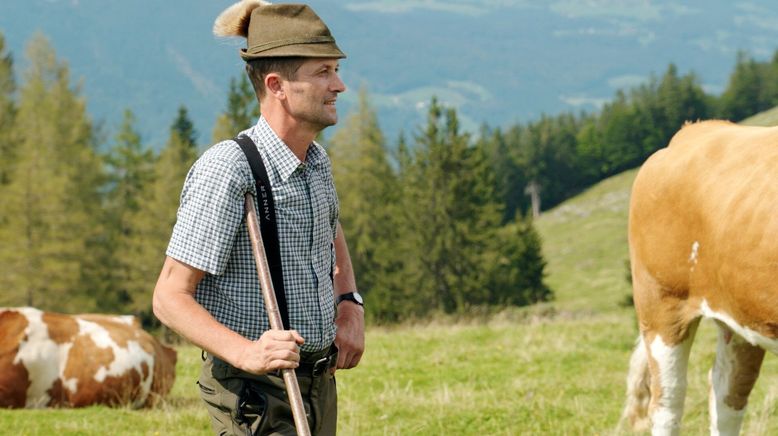 Die schönsten Almen in Oberösterreich