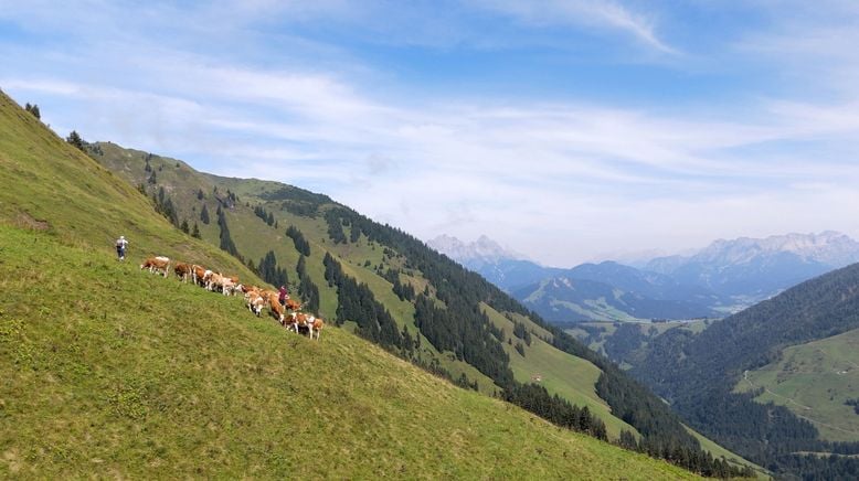 Die schönsten Almen in Tirol