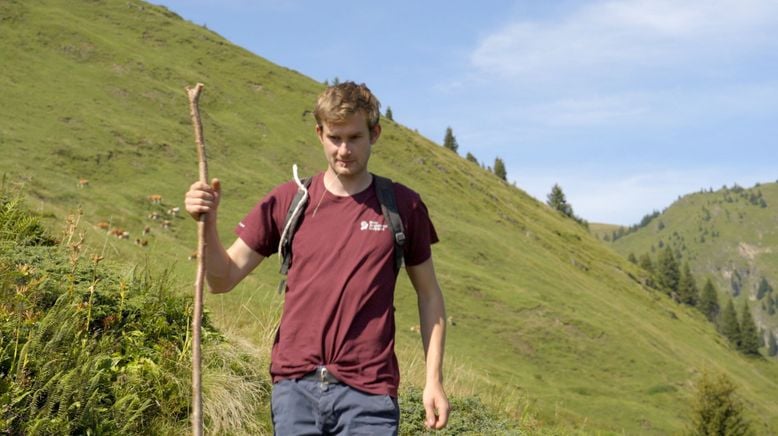 Die schönsten Almen in Tirol