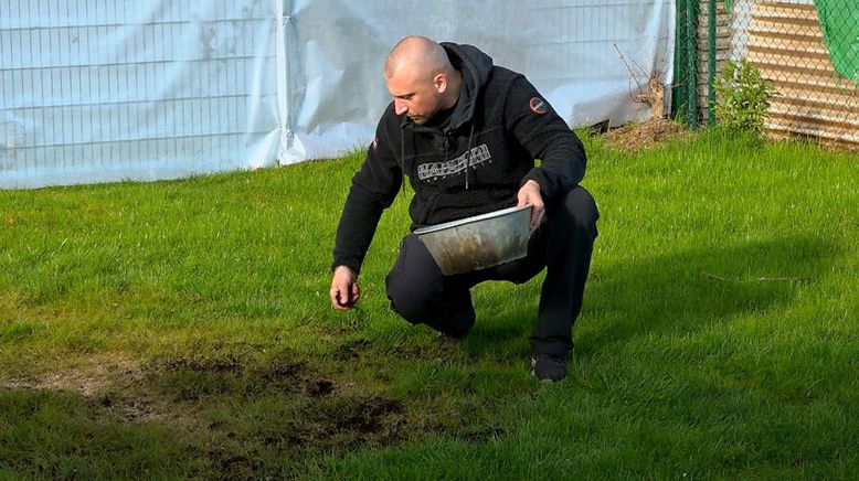 Von Hecke zu Hecke - Bunte Beetgeschichten