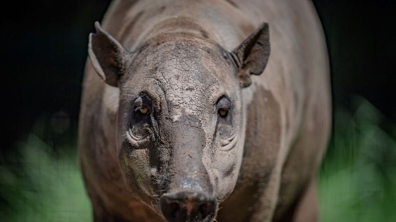 Zoo und so - Tierisch wild!