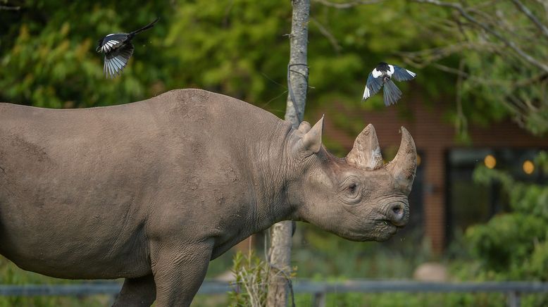 Zoo und so - Tierisch wild!