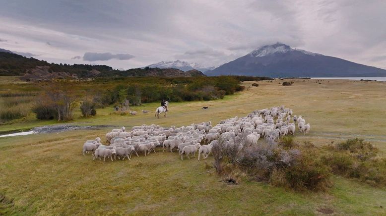 Patagonien - Land der Pioniere