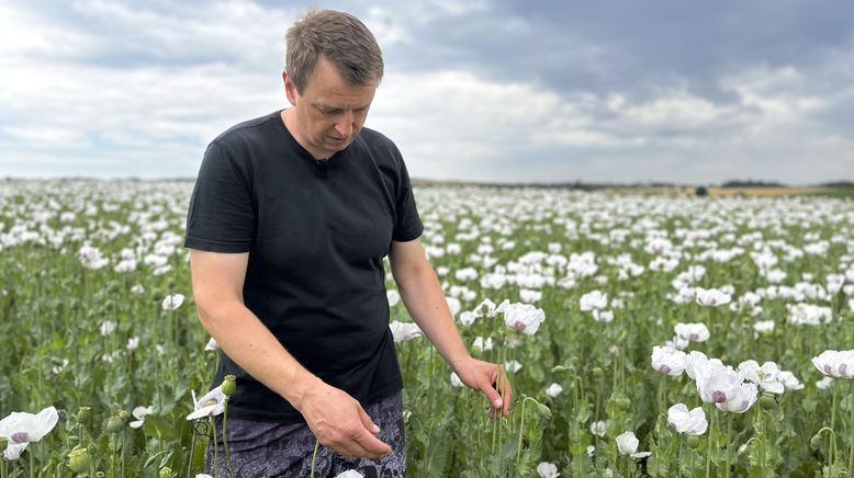 Im Land der Mohnbauern