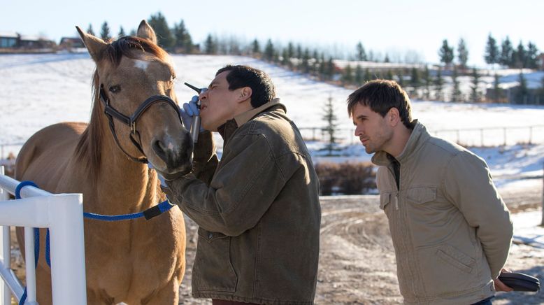 Heartland - Paradies für Pferde