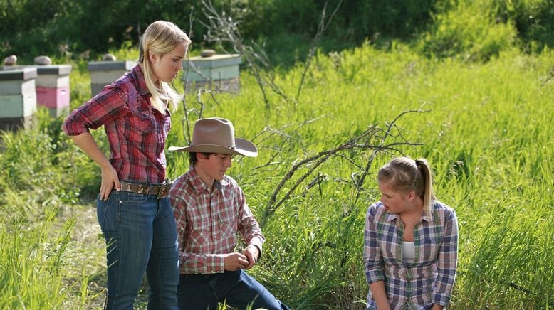 Heartland - Paradies für Pferde