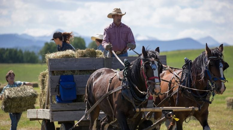 Heartland - Paradies für Pferde