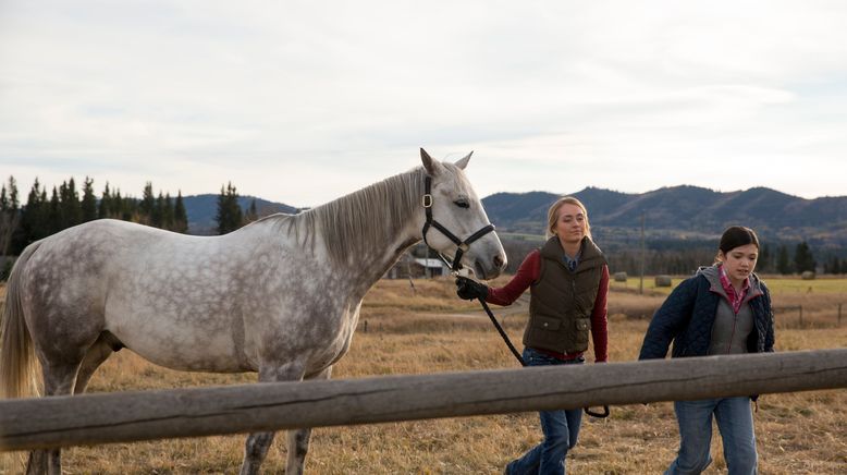 Heartland - Paradies für Pferde