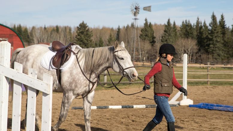 Heartland - Paradies für Pferde