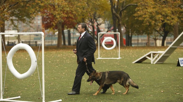 Blue Bloods - Crime Scene New York