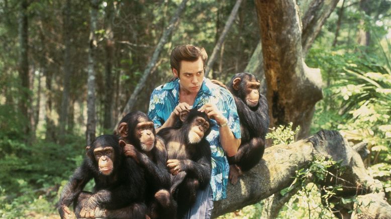 Ace Ventura - Jetzt wird's wild