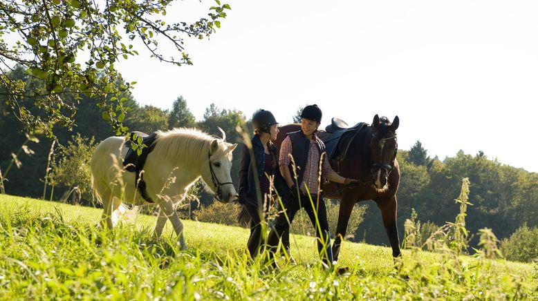 Tiere bis unters Dach