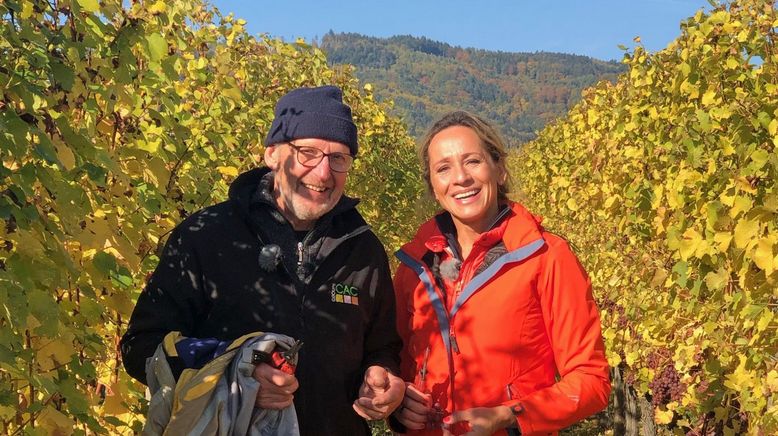 Wunderschön! Herbstzauber im Elsass - zwischen Colmar und Straßburg