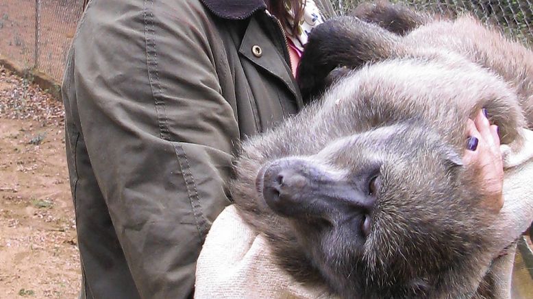 Tierische Außenseiter